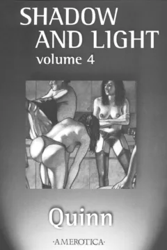 Shadow & Light 4 (4)