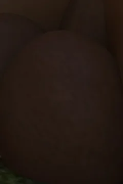 A_Test_In_The_Woods_2_056