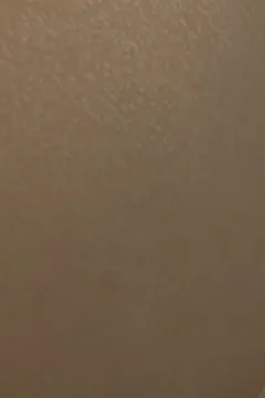 A_Test_In_The_Woods_2_099