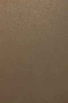 A_Test_In_The_Woods_2_100