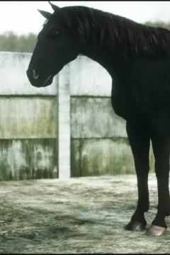 CGS_78_Rookie_Training_31