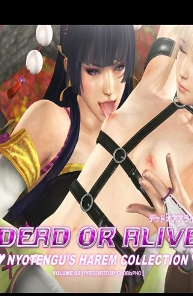 CHOBIxPHO - DOA NYOTENGU'S HAREM COLLECTION 2