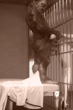 Jail House Cock (13)