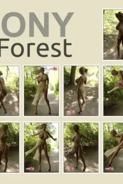 LEONY FOREST