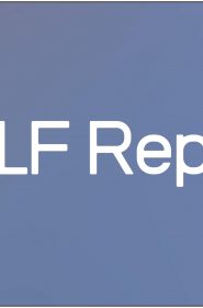 MILF Report (1)
