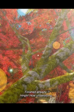 NYOTENGU’S HAREM (30)