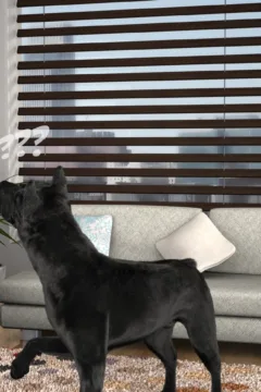 Obedience Train (11)