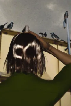 Shikai Ge Remake 3D (55)