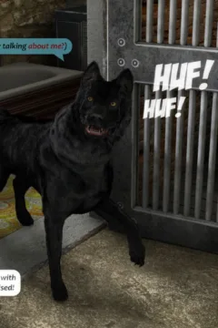 Tornado Shelter (37)