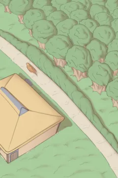 UNFORTUNATE EXPERIENCES (37)