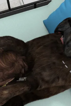 extemexworld-baronesss-hortense-2-zxcomics (53)