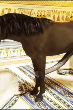 Opala Osira and Farah (35)