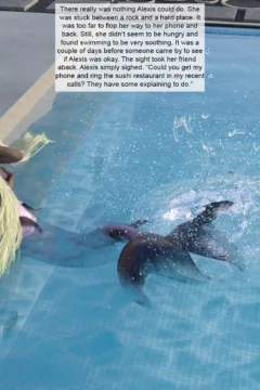 1-1-20 Pie 15_Camera (2)