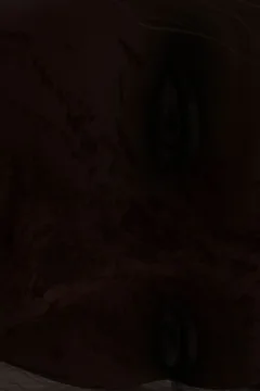 Intro to Medieval Architecture (71)