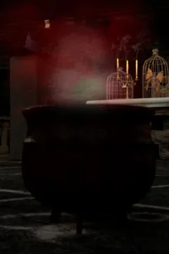 Practicing Witchcraft (21)