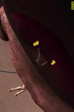 Beanstalk Saga 3 (47)