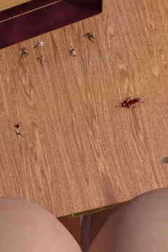 Beanstalk Saga 4 (72)