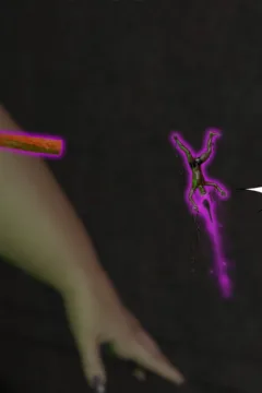 Beanstalk Saga 8 (47)