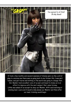 Perlious Journey (118)