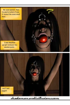 Perlious Journey (17)