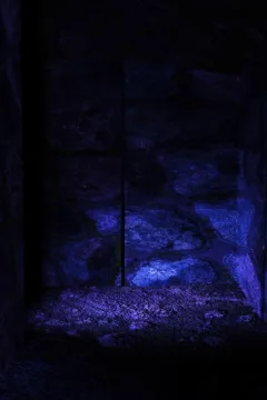 Temple of the Forgotten (39)