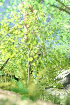 Big Little Sister (121)