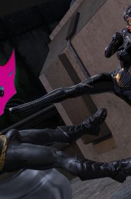 Catwoman Encounter (19)
