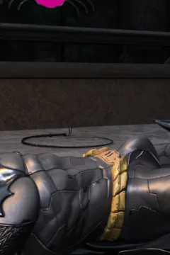 Catwoman Encounter (21)