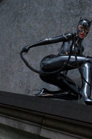Catwoman Encounter (8)
