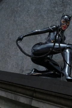 Catwoman Encounter (8)