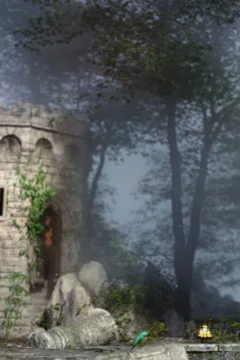 Fabianas Pitfall (11)