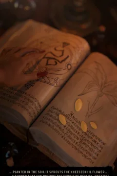 Fabianas Pitfall (5)