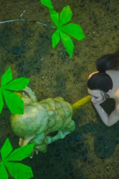 Into the Goblin Forest (91)