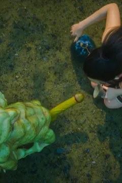 Into the Goblin Forest (93)