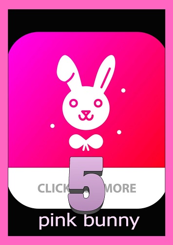 (Keshara) Pink Bunny 5