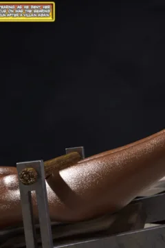 Reprogrammed 10 (17)