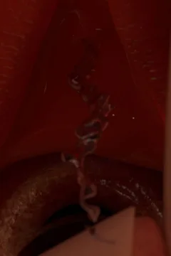 Stretching Routine (114)