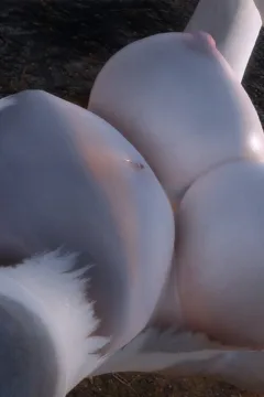 The Mating Season 2 (4)