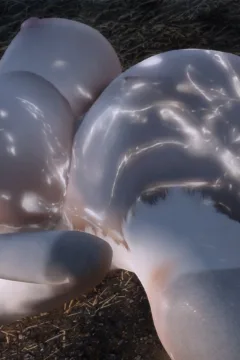 The Mating Season 2 (43)