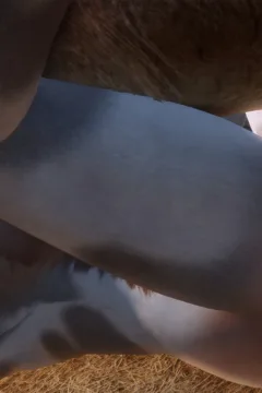 The Mating Season_27