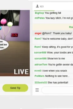 The Rise and Fall of a Webcam Girl (10)