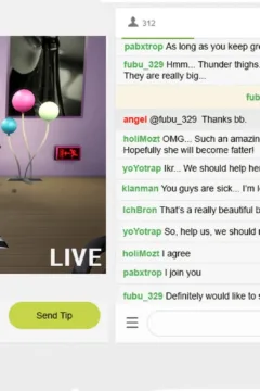 The Rise and Fall of a Webcam Girl (12)