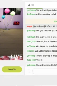 The Rise and Fall of a Webcam Girl (13)