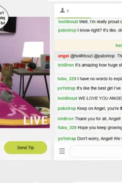 The Rise and Fall of a Webcam Girl (16)