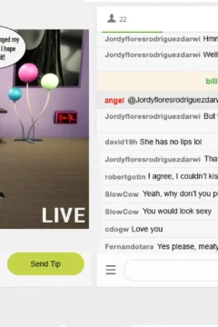 The Rise and Fall of a Webcam Girl (3)