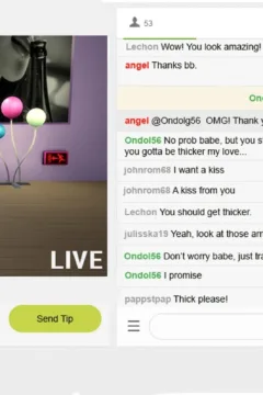 The Rise and Fall of a Webcam Girl (4)