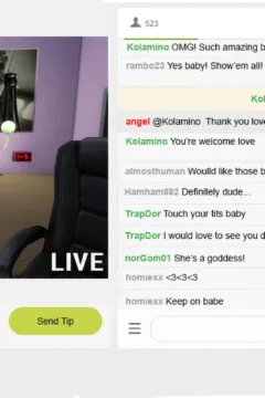 The Rise and Fall of a Webcam Girl (7)