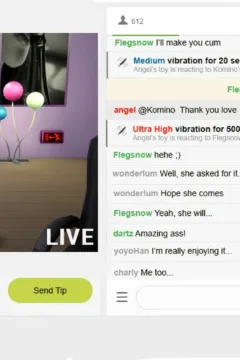 The Rise and Fall of a Webcam Girl (8)