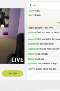 The Rise and Fall of a Webcam Girl (9)