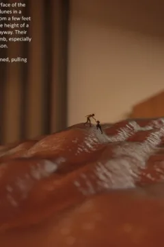 The-Signal-Redux-035